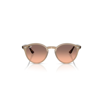 Óculos de Sol Ray-Ban Highstreet RB 2180 678846 49