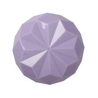 Estojo porta lentes Delicate Box + Pinça e Ventosa Roxo