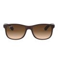 Óculos de Sol Ray-Ban Stardard RB 4202 607313 55